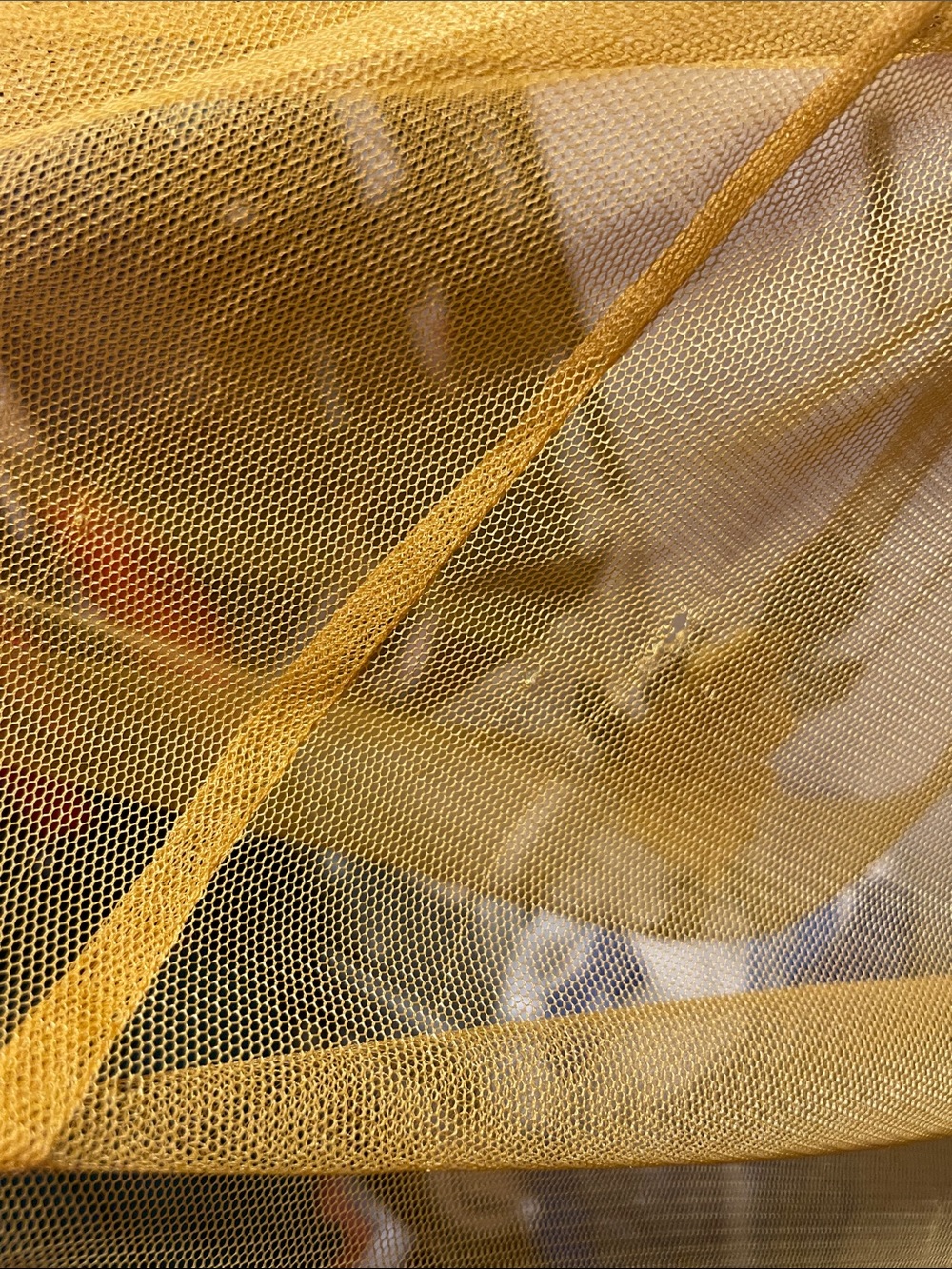 Maeve Mustard Tulle Midi Skirt with Floral Appliqués - Picture 5 of 9